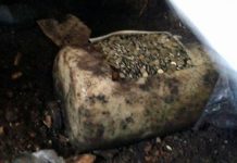 Znalazł plastikowy kanister pełen monet…