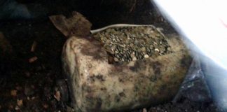 Znalazł plastikowy kanister pełen monet…