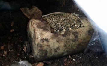 Znalazł plastikowy kanister pełen monet…