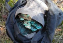 Niesamowity skarb srebrnych monet odkryty na Ukrainie (GALERIA)