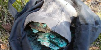 Niesamowity skarb srebrnych monet odkryty na Ukrainie (GALERIA)