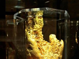 Największy złoty samorodek odkryty przy pomocy wykrywacza metalu!