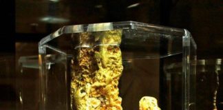 Największy złoty samorodek odkryty przy pomocy wykrywacza metalu!