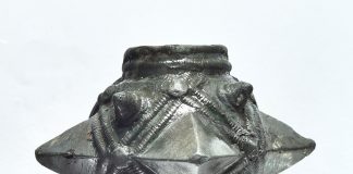 Średniowieczna buława wodza! Znaleziona przypadkowo przez grzybiarza… + BONUS