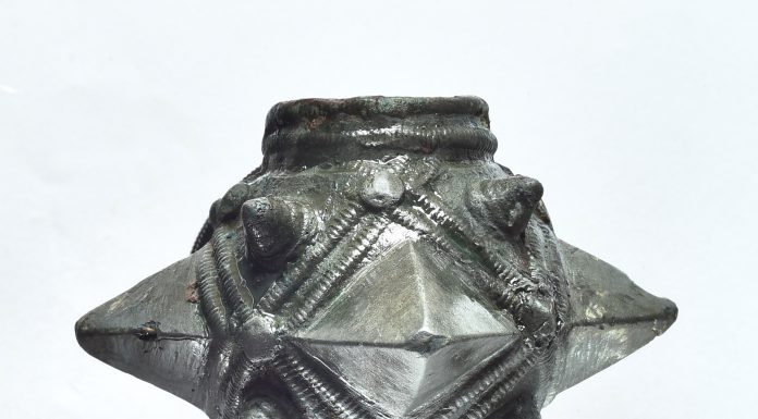 Średniowieczna buława wodza! Znaleziona przypadkowo przez grzybiarza… + BONUS