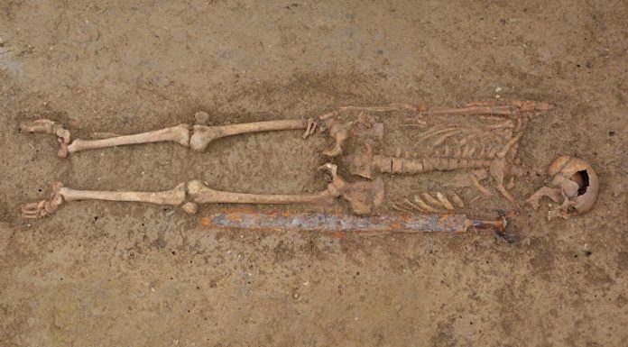 Pochówek wojownika z VI wieku odkryto w starożytnym mieście