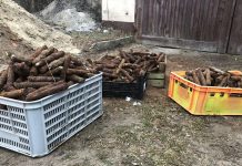 Wykopał cztery skrzynki amunicji, w sumie blisko 850 sztuk i zgłosił policji…