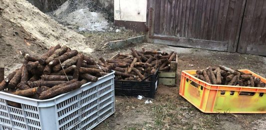 Wykopał cztery skrzynki amunicji, w sumie blisko 850 sztuk i zgłosił policji…