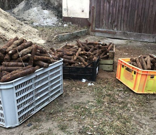 Wykopał cztery skrzynki amunicji, w sumie blisko 850 sztuk i zgłosił policji…