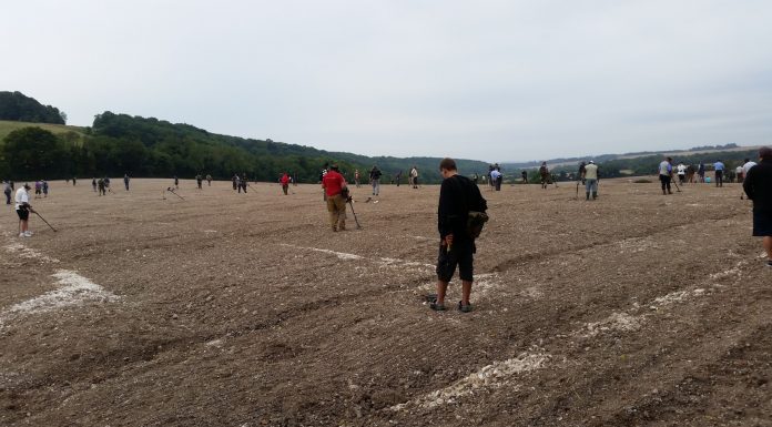 Powstała 'Rada Ochrony Dziedzictwa Archeologicznego’ – na czele z przeciwnikiem detektorystów!