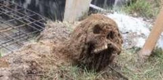 Szczątki żołnierza wykopane w trakcie budowy na Podkarpaciu