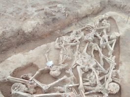 Przypadkowo odkryto mogiłę Bitwy pod Kunowicami, w ziemi spoczywa przynajmniej 10 żołnierzy! (GALERIA)