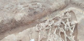 Przypadkowo odkryto mogiłę Bitwy pod Kunowicami, w ziemi spoczywa przynajmniej 10 żołnierzy! (GALERIA)