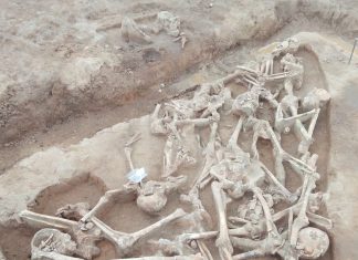 Przypadkowo odkryto mogiłę Bitwy pod Kunowicami, w ziemi spoczywa przynajmniej 10 żołnierzy! (GALERIA)