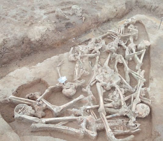 Przypadkowo odkryto mogiłę Bitwy pod Kunowicami, w ziemi spoczywa przynajmniej 10 żołnierzy! (GALERIA)