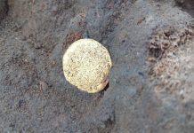 Złota moneta, 292 guziki i 15 żołnierzy – podsumowanie prac przy mogile poległych w bitwie pod Kunowicami (GALERIA)