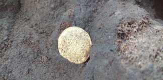 Złota moneta, 292 guziki i 15 żołnierzy – podsumowanie prac przy mogile poległych w bitwie pod Kunowicami (GALERIA)