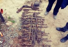 W Ścinawie nad Odrą odkryto dziś szkielety i ponad 20 karabinów!(FILM)