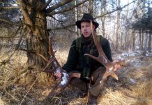 Zrzuty poroża – gdzie, kiedy i jak szukać… wywiad z leśnikiem!