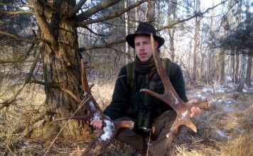 Zrzuty poroża – gdzie, kiedy i jak szukać… wywiad z leśnikiem!