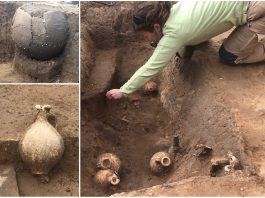 Rzymskie cmentarzysko ciałopalne z II wieku odkryto w Strasburgu