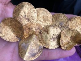 Ogromny skarb złotych i srebrnych monet z XIV wieku, w sumie ponad 1100 sztuk – odkryty w UK przez Polaka!! (GALERIA + FILM)