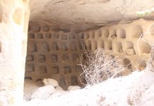 Po co komu gołębie w podziemnym mieście? (GALERIA)