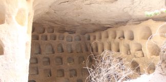 Po co komu gołębie w podziemnym mieście? (GALERIA)