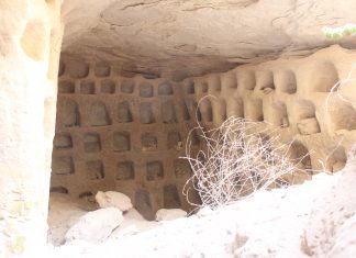 Po co komu gołębie w podziemnym mieście? (GALERIA)