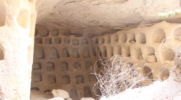 Po co komu gołębie w podziemnym mieście? (GALERIA)