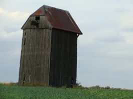 Nieciekawy finał nagonki konserwatora zabytków w Łodzi. 70-letni mężczyzna targnął się na swoje życie