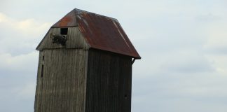 Nieciekawy finał nagonki konserwatora zabytków w Łodzi. 70-letni mężczyzna targnął się na swoje życie