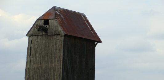 Nieciekawy finał nagonki konserwatora zabytków w Łodzi. 70-letni mężczyzna targnął się na swoje życie