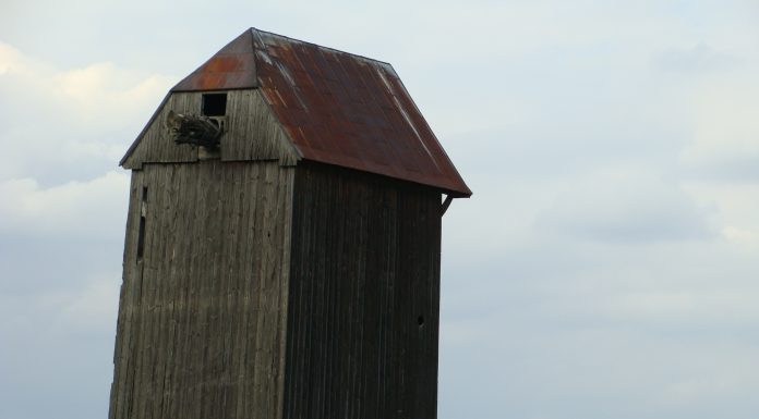 Nieciekawy finał nagonki konserwatora zabytków w Łodzi. 70-letni mężczyzna targnął się na swoje życie