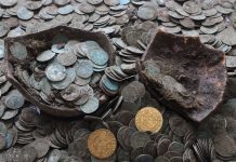 Para na Słowacji znalazła skarb srebrnych i złotych monet wykopanych przez… dziki!