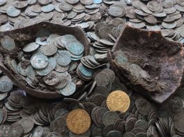 Para na Słowacji znalazła skarb srebrnych i złotych monet wykopanych przez… dziki!