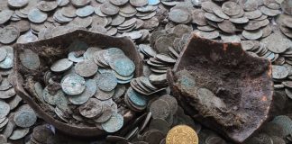 Para na Słowacji znalazła skarb srebrnych i złotych monet wykopanych przez… dziki!