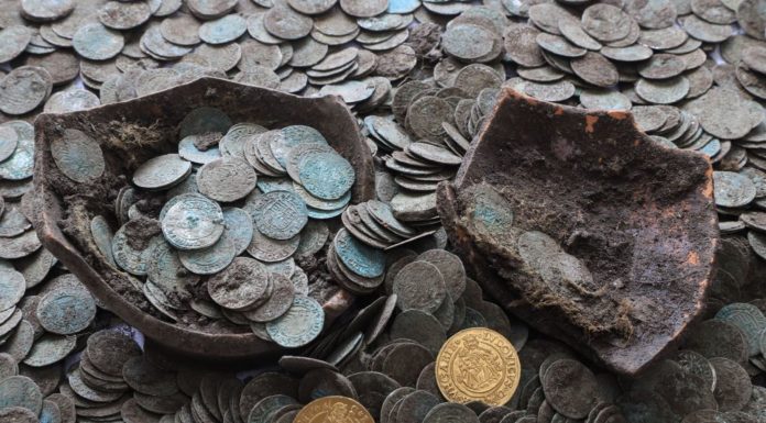 Para na Słowacji znalazła skarb srebrnych i złotych monet wykopanych przez… dziki!
