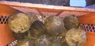 Kosz kul armatnich i granatów moździerzowych znalezionych przez poszukiwacza (GALERIA)