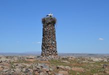 Niezwykła historia – „Człowiek Ptak” od 23 lat buduje kamienne wieże dla bocianów!