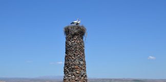 Niezwykła historia – „Człowiek Ptak” od 23 lat buduje kamienne wieże dla bocianów!