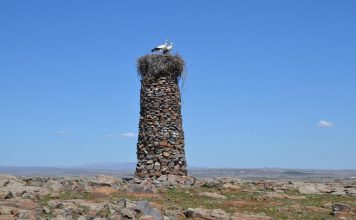 Niezwykła historia – „Człowiek Ptak” od 23 lat buduje kamienne wieże dla bocianów!