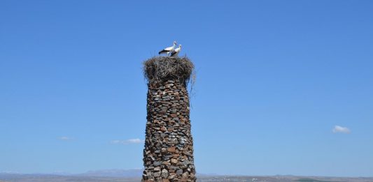 Niezwykła historia – „Człowiek Ptak” od 23 lat buduje kamienne wieże dla bocianów!