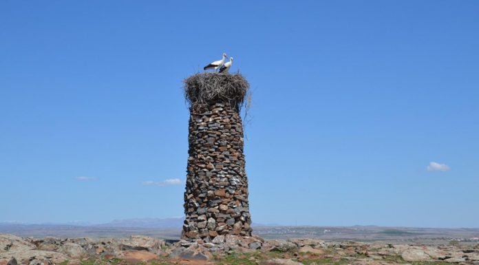 Niezwykła historia – „Człowiek Ptak” od 23 lat buduje kamienne wieże dla bocianów!