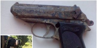 W ogródku na warszawskich Bielanach… pies wykopał pistolet!