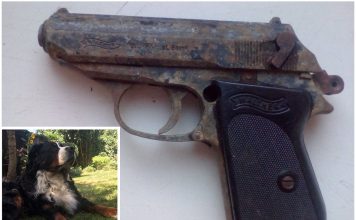 W ogródku na warszawskich Bielanach… pies wykopał pistolet!