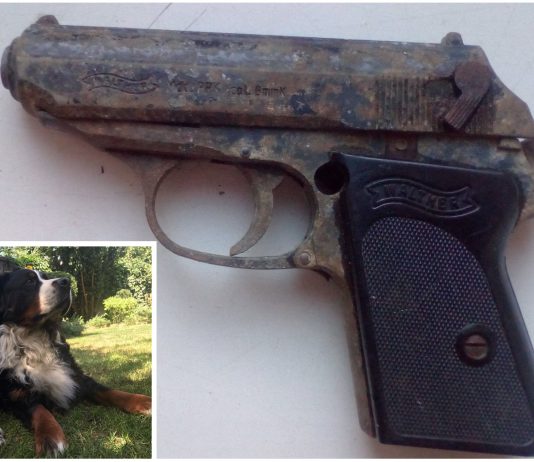 W ogródku na warszawskich Bielanach… pies wykopał pistolet!