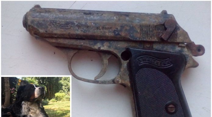 W ogródku na warszawskich Bielanach… pies wykopał pistolet!