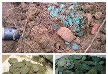 Skarb 440 srebrnych monet Zygmunta III Wazy odkrytych przez poszukiwacza