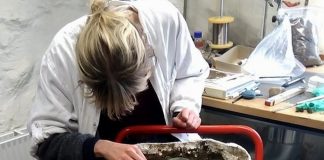 Szukał samolotu z II WŚ …trafił na skarb króla z epoki brązu!